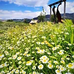 Rural Curia
