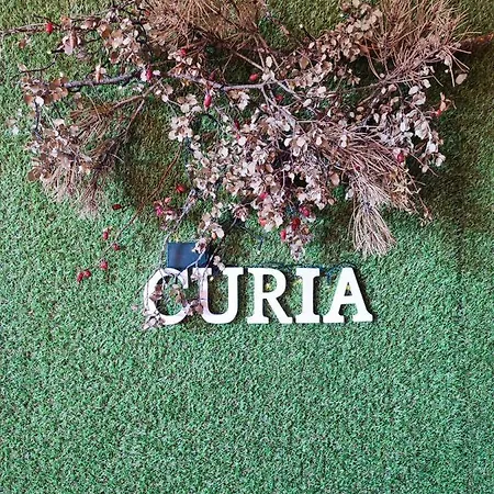 فندق Rural Curia 2*