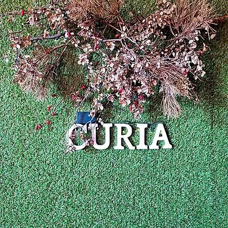 Rural Curia Hotel