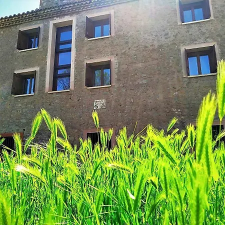 Rural Curia