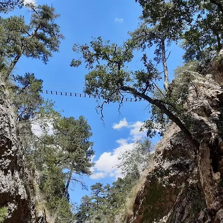 호텔 Rural Curia El Castellar