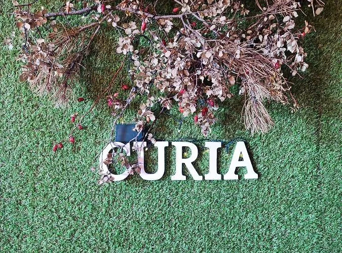 Hotel Rural Curia 2*