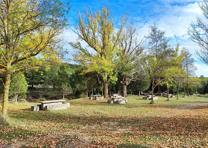 Hotel Rural Curia El Castellar