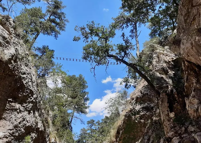 Hotell Rural Curia El Castellar